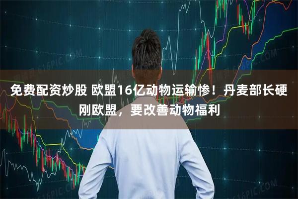 免费配资炒股 欧盟16亿动物运输惨！丹麦部长硬刚欧盟，要改善动物福利
