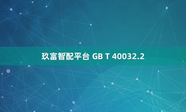玖富智配平台 GB T 40032.2